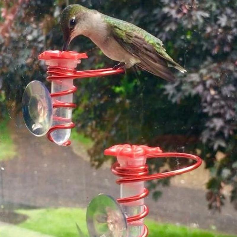 BowLift | Window Hummingbird Feeder