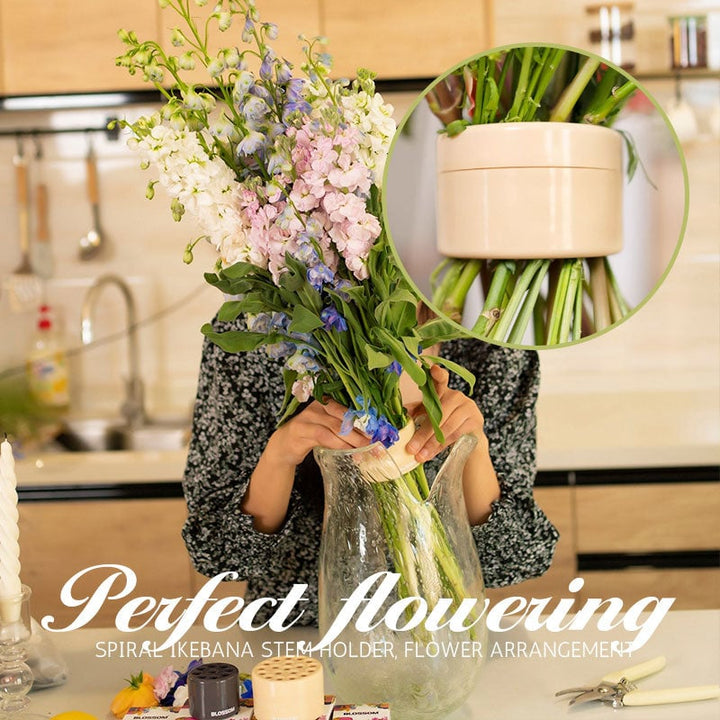 BowLift | Spiral Ikebana Stem Holder