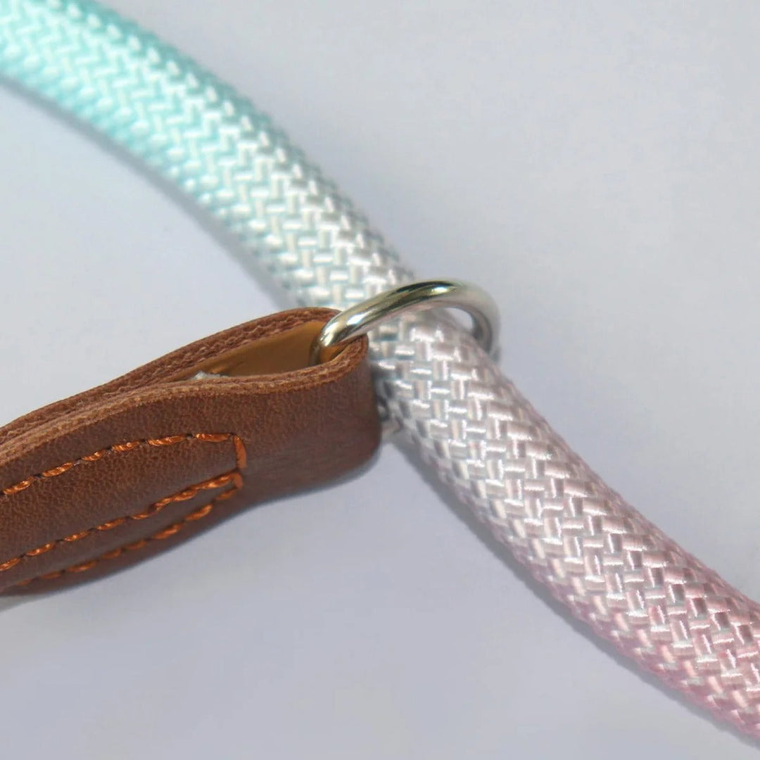 Clémentine Leash – Colorful Dog Leash for Stylish Walking Bowlift