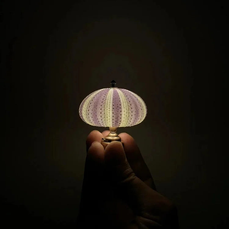 BowLift | LumiCraft – Unique DIY table lamp with natural sea shell for a cozy décor