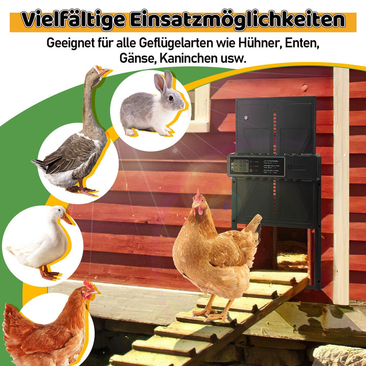 Electric Chicken Coop Door Solar with LED Display and Remote Control | Bowlift