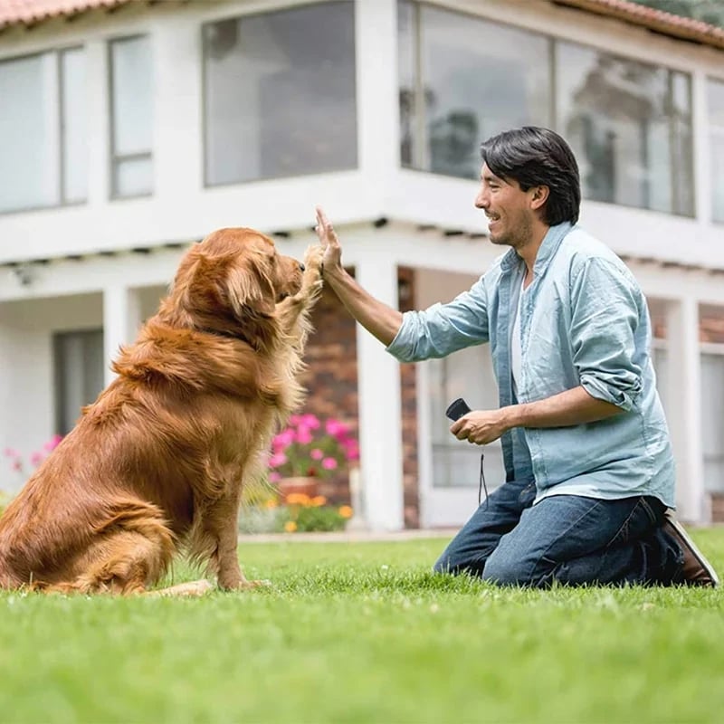 BowLift | Ultrasonic Anti Barking Dog Device