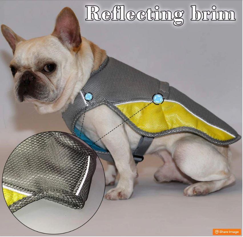 Coolify™ : Cooling Vest for Frenchie (CS13) | Bowlift