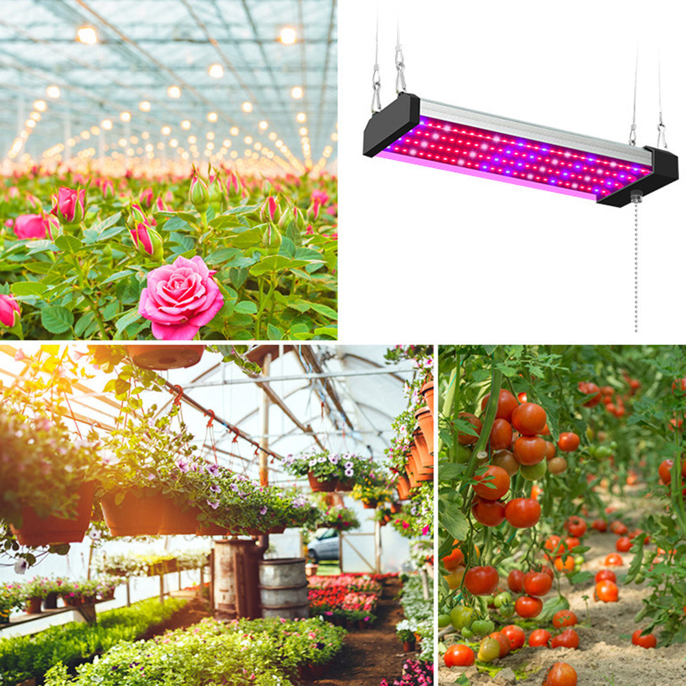 BowLift | LED plant lamp with full spectrum lighting and pull switch for optimal plant growth