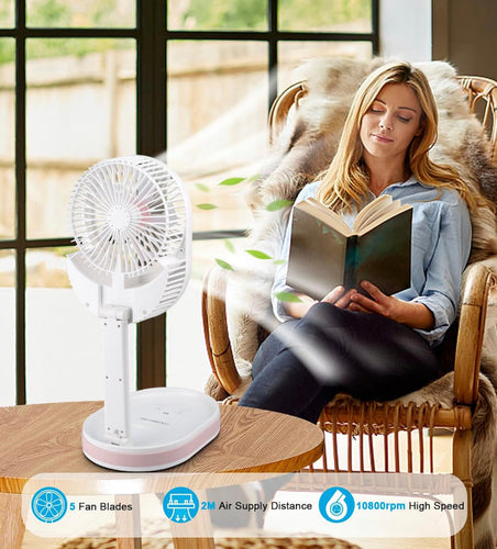 MULTI-FUNCTION FOLDING FAN WITH LIGHT | Bowlift