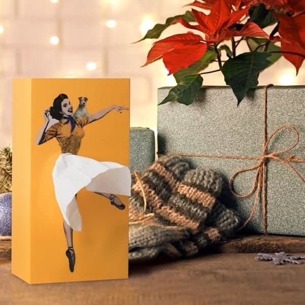BowLift | Playful Rock Tissue Box for Creative Home Decoration