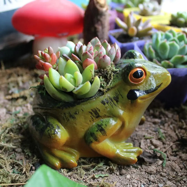 BowLift | Cute Breathing Plant Pot - FroggyPot