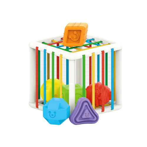 BowLift | Sorting And Learning Cube For Children