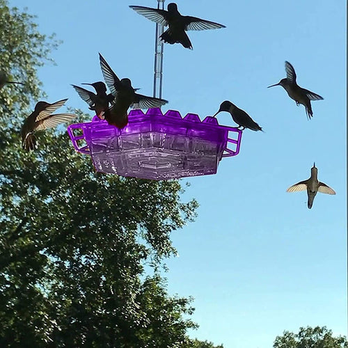 BowLift | NectarHex – Ant-proof hummingbird feeder with 30 ports and UV-resistant design