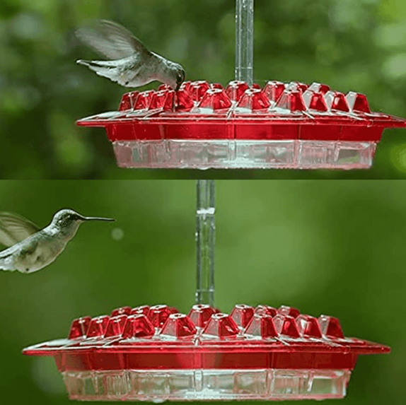 BowLift | NectarHex – Ant-proof hummingbird feeder with 30 ports and UV-resistant design