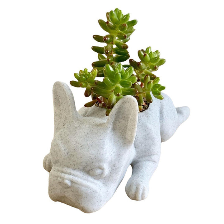 Resin ornament for animal meditation | Bowlift