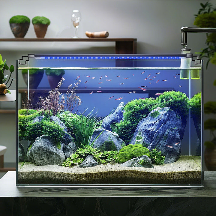 LED Aquarium Lighting 24/7 Mode with Timer | Bowlift