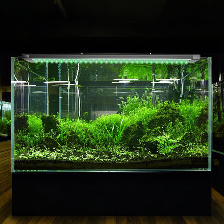 LED Aquarium Lighting 24/7 Mode with Timer | Bowlift