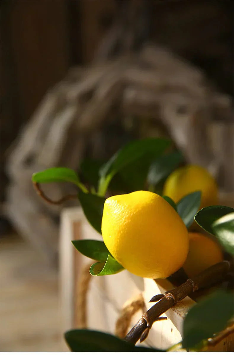 BowLift | Artificial Lemon Branch