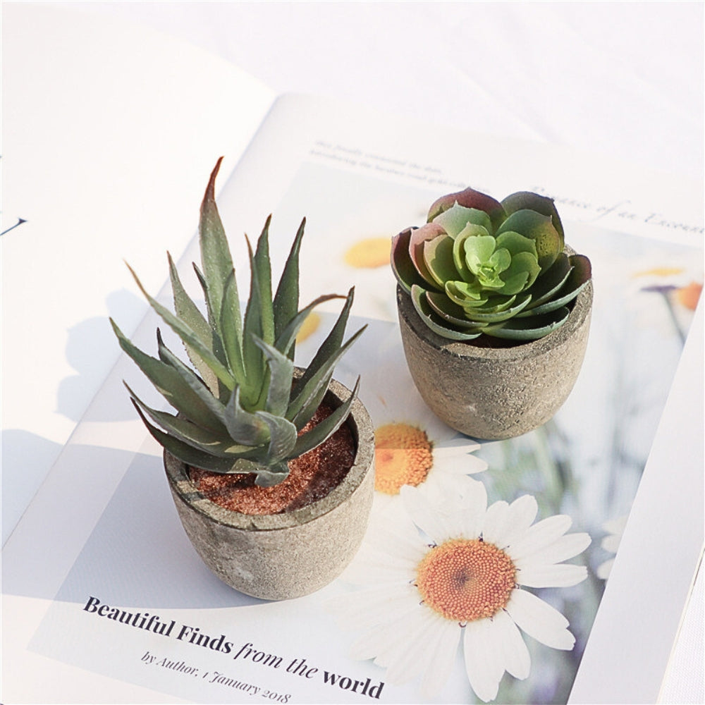 BowLift | Verdea Artificial Succulent Plant Decor