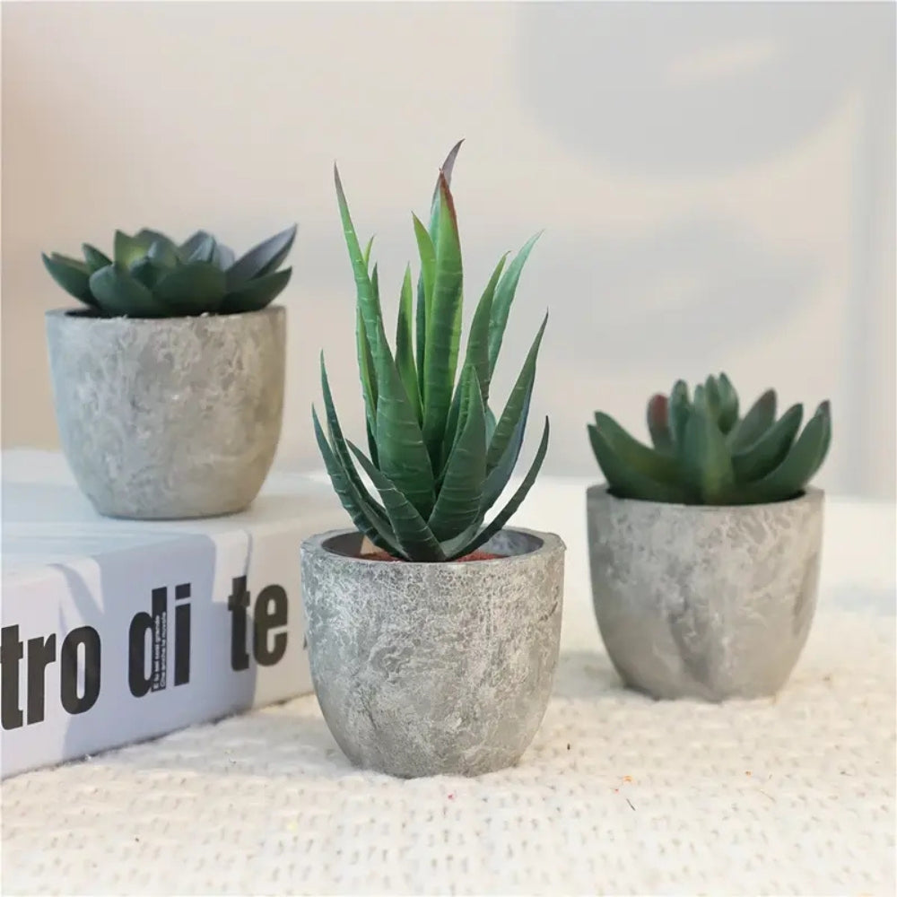 BowLift | Verdea Artificial Succulent Plant Decor