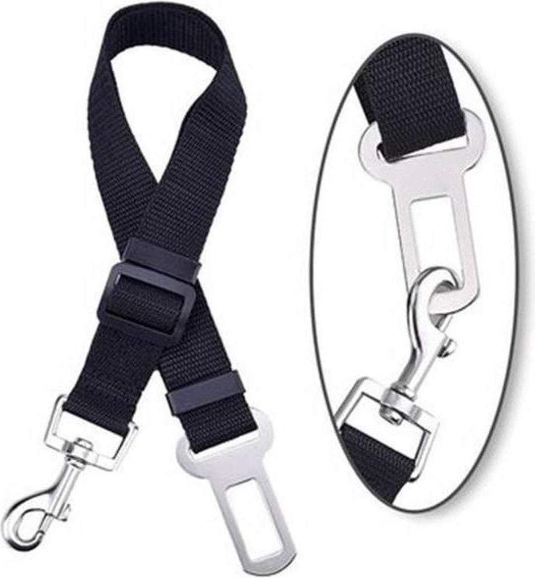 Safety seatbelt for Pets Bowlift