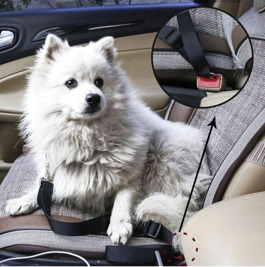 BowLift | PETECURE – Adjustable safety belt for pets in the car
