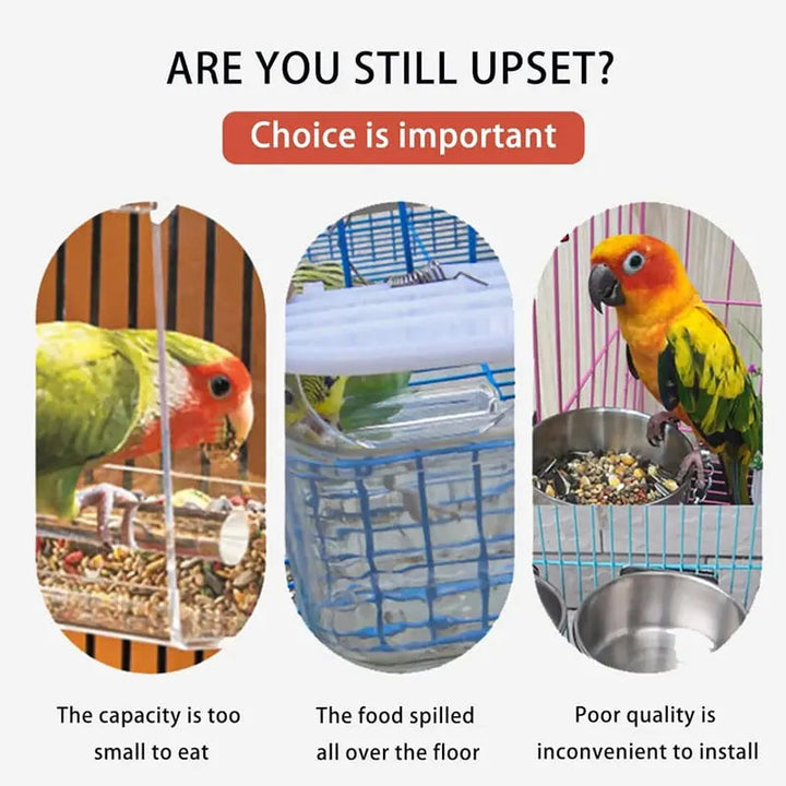 BowLift | Automatic Bird Feeder – No Mess, No Stress