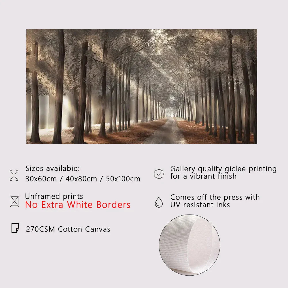 Autumn Sunshine Forest Wall Art Fine Art Canvas Print Natural Landscape Picture For Living Room Dining Room Scandinavian Home Decor | Bowlift