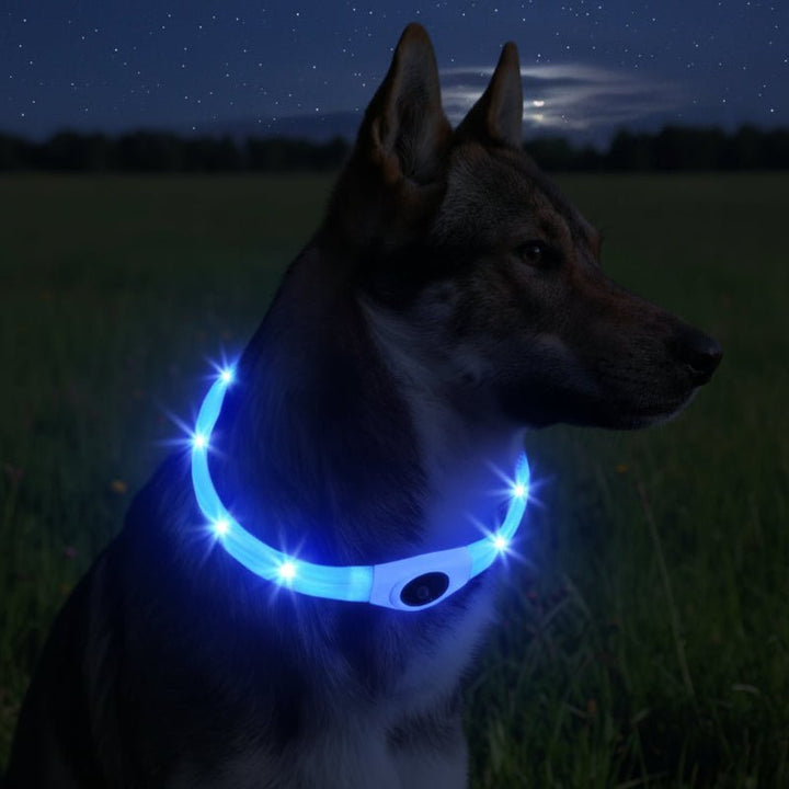 BowLift | LED Light Collar for Dogs for Safe Walks at Night