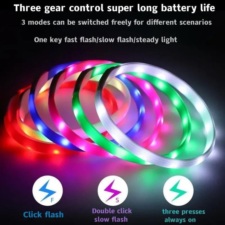 BowLift | LED Light Collar for Dogs for Safe Walks at Night