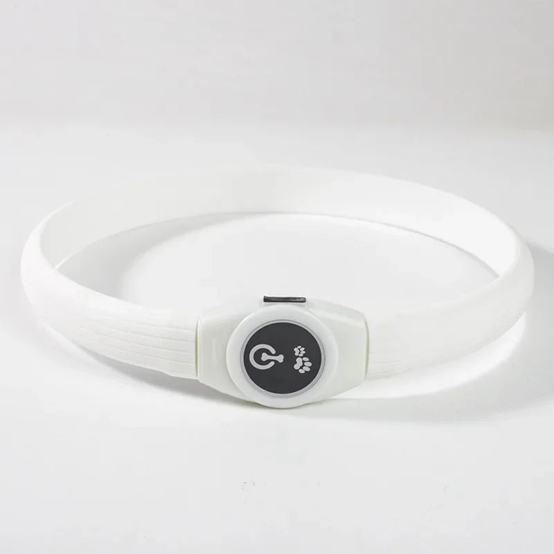 BowLift | LED Light Collar for Dogs for Safe Walks at Night
