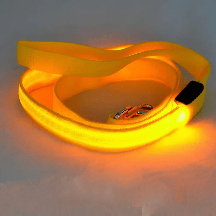 BowLift | LED dog leash with USB charging & reflective design