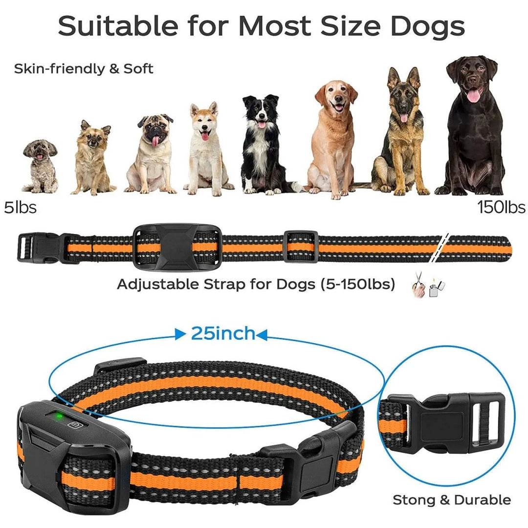 BowLift | Professional 1000 m Remote Training Collar for Dogs