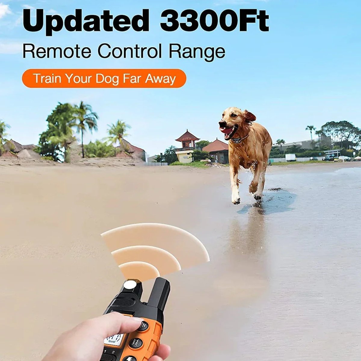 BowLift | Professional 1000 m Remote Training Collar for Dogs