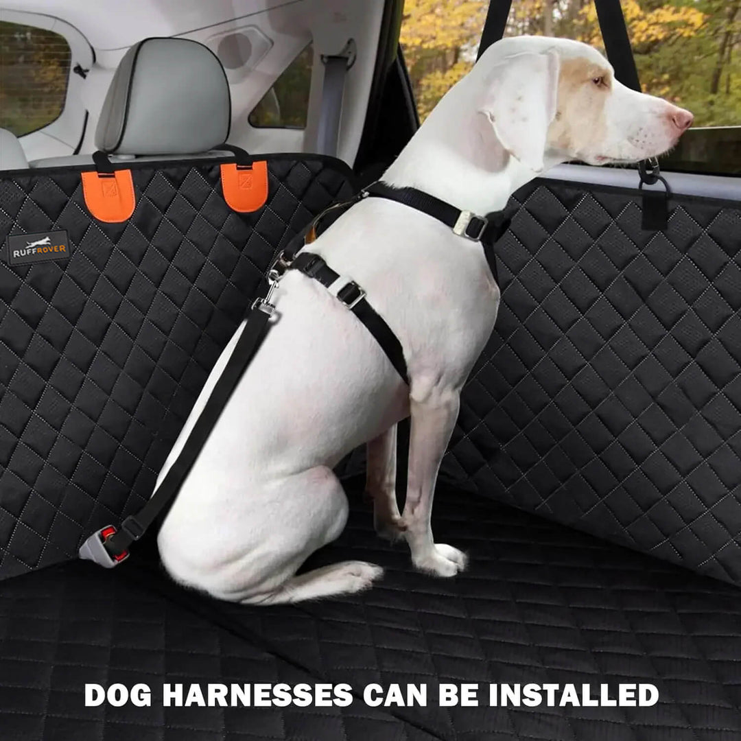 BowLift | DogBench | Travel peacefully with your dog