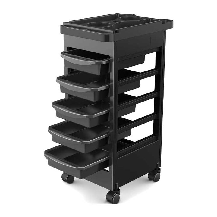 BowLift | Hairdressing Trolley With 5 Layers, Hair Dye Bowl And Hair Dryer Holder, 360 Degree Rotatable Storage