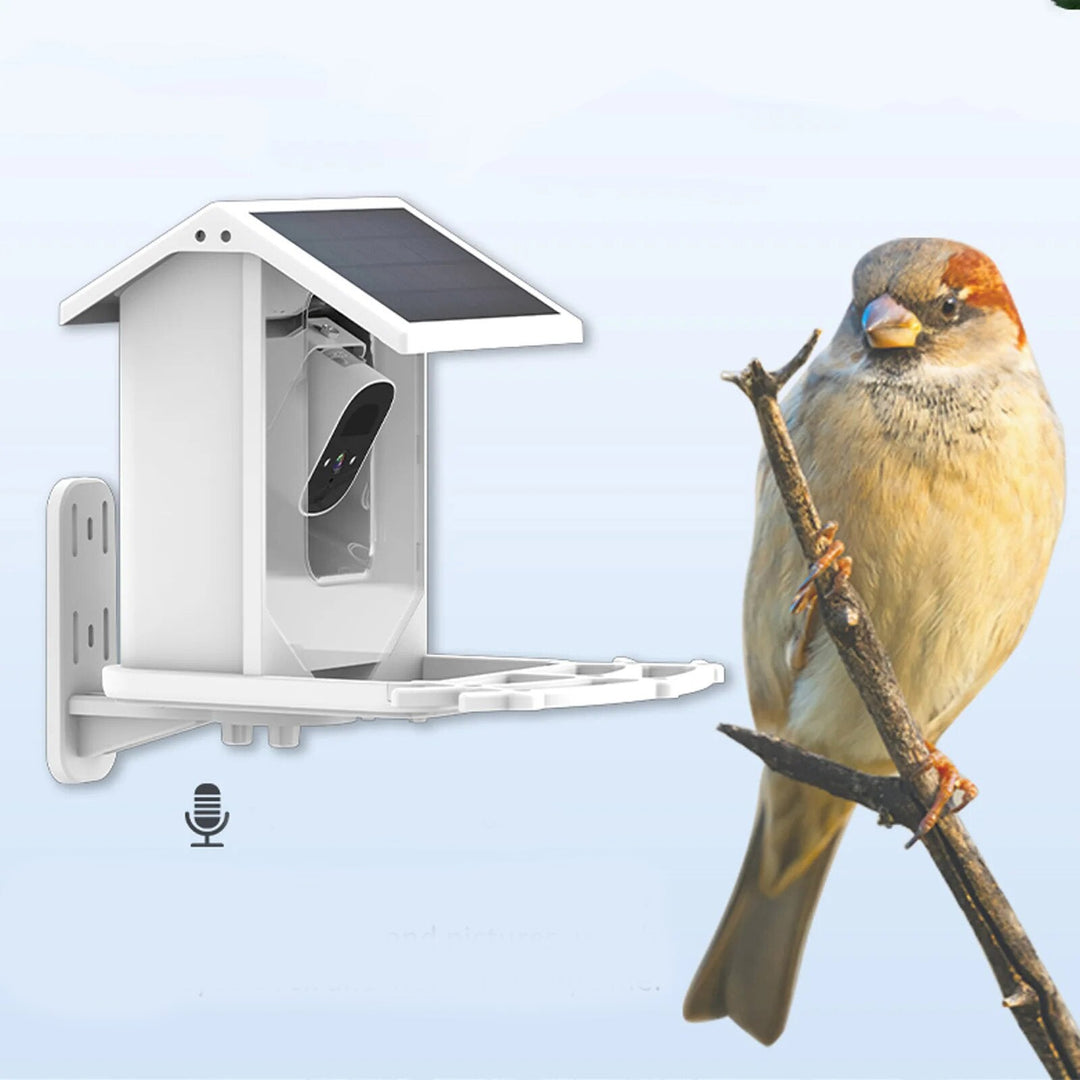 BowLift | Smart Solar Bird Feeder with Bird Recognition – Weatherproof Garden Feeder