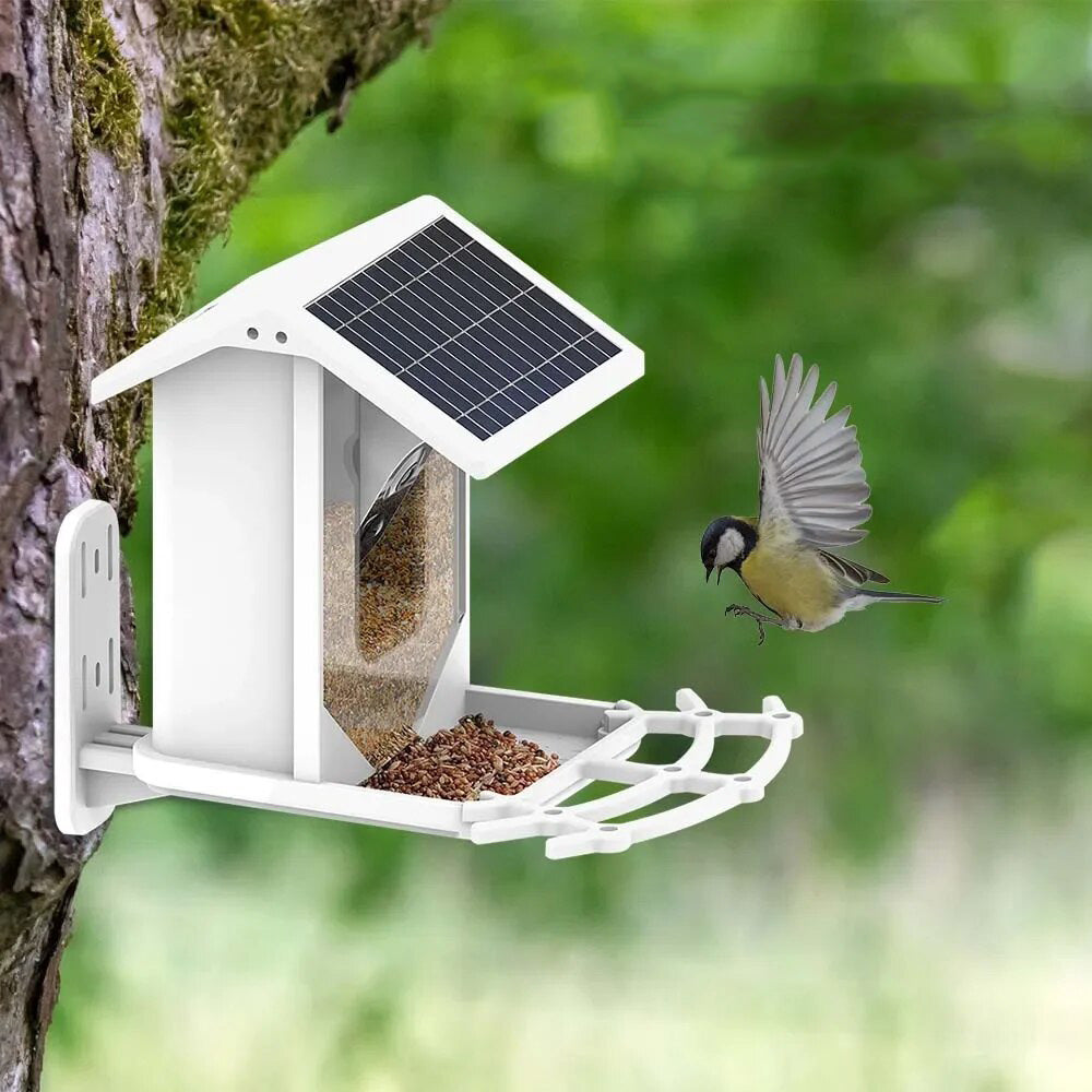 BowLift | Smart Solar Bird Feeder with Bird Recognition – Weatherproof Garden Feeder