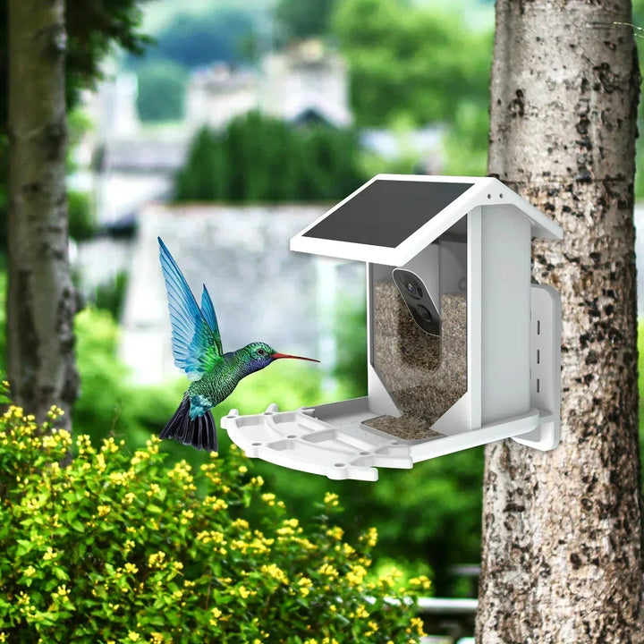 BowLift | Smart Solar Bird Feeder with Bird Recognition – Weatherproof Garden Feeder