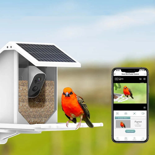 BowLift | Smart Solar Bird Feeder with Bird Recognition – Weatherproof Garden Feeder
