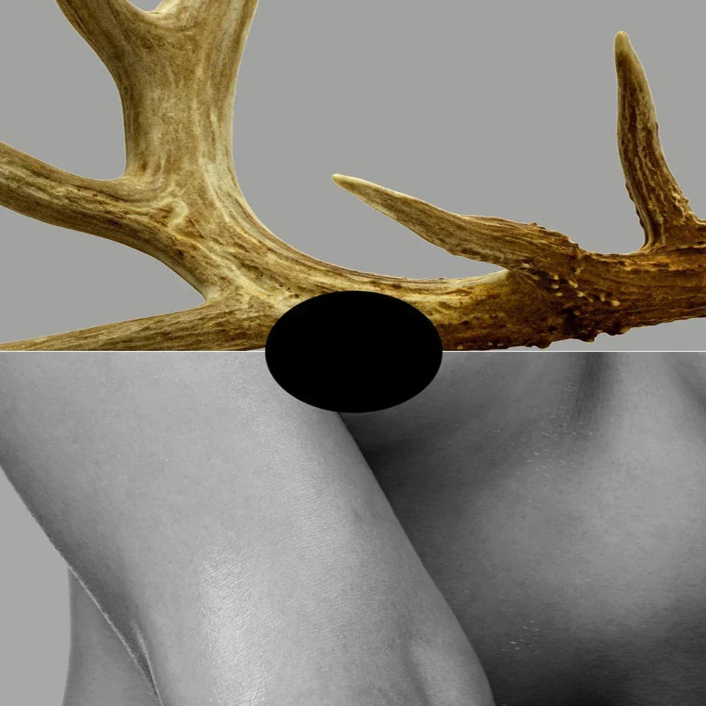 Black White Golden Antlered Girl Poster Wall Art Fine Art Canvas Prints Nordic Picture For Living Room Bedroom Studio Home Office Decor | Bowlift