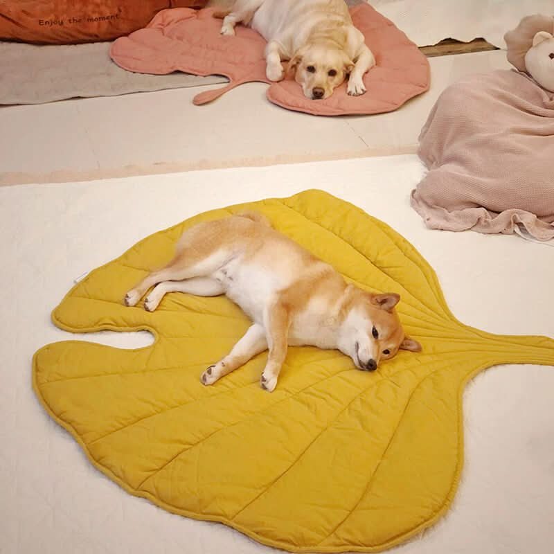 BowLift | Leaf-shaped dog blanket for comfort & home style