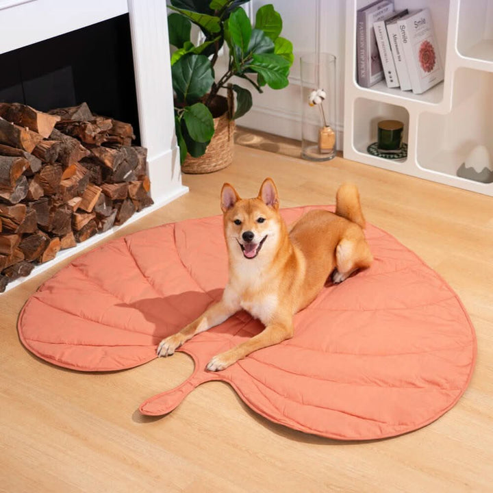 BowLift | LeafNest Dog Bed – Comfortable Leaf-shaped Bed made of Cotton and Polyester