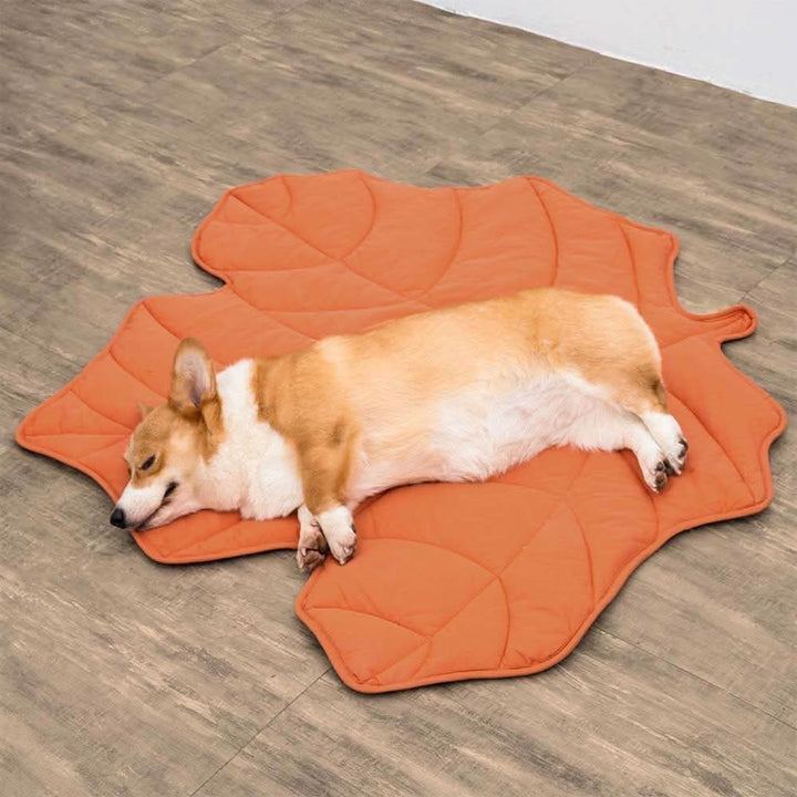 BowLift | LEAFNEST – Leaf-shaped dog blanket for comfort & home style