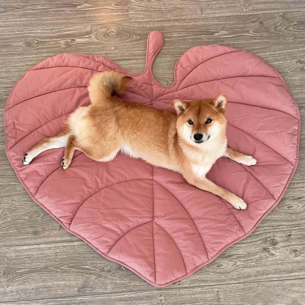 BowLift | Stylish dog blanket in leaf shape with soft padding & versatile use