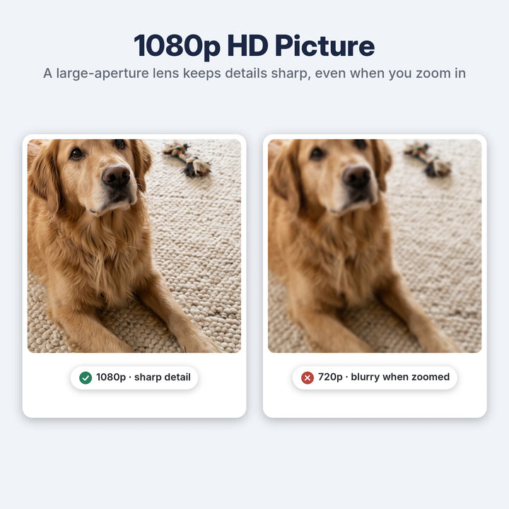 1080p versus 720p zoomed image comparison