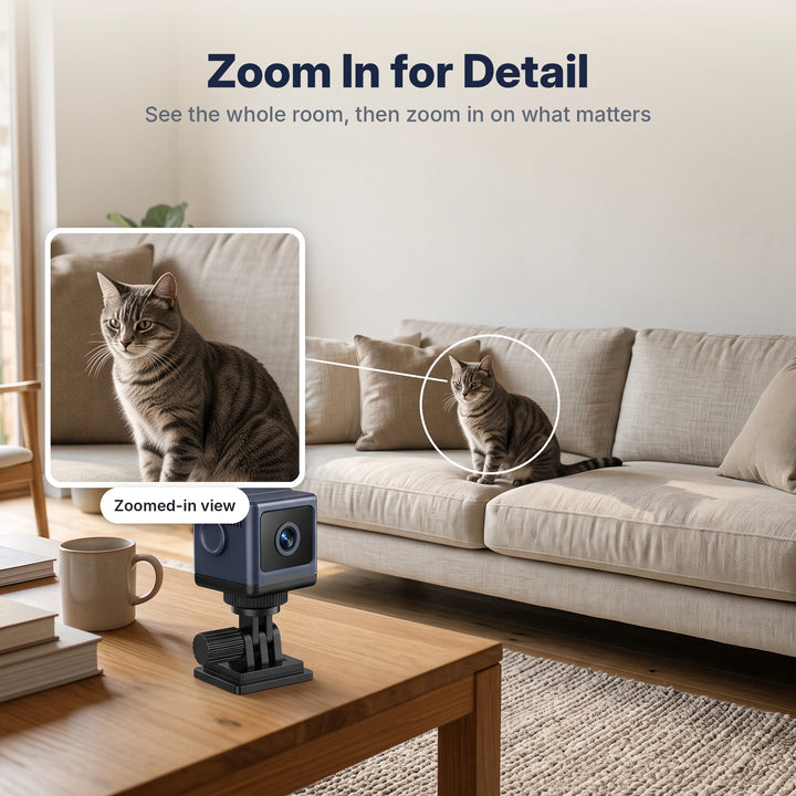 Zoom in on a cat on the sofa from the camera view