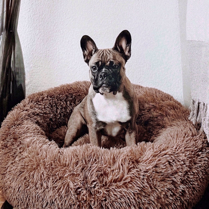 BowLift | FluffyNest Comfort Dog Bed – Orthopedic Plush Sleeping Cushion for Dogs
