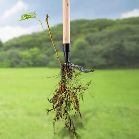 BowLift | Mechanical Weeder