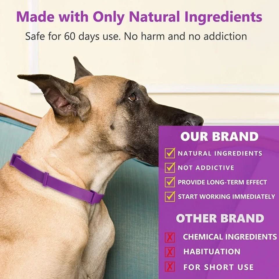 BowLift | CALMDOG – Calming collar with pheromones & essential oils for dogs