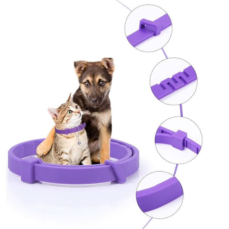 BowLift | Calming collar with pheromones & essential oils for dogs