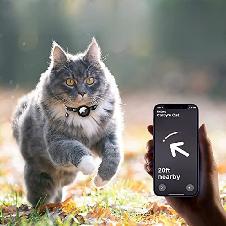 BowLift | GPS Tracker Collar for Safety & Visibility for Cats