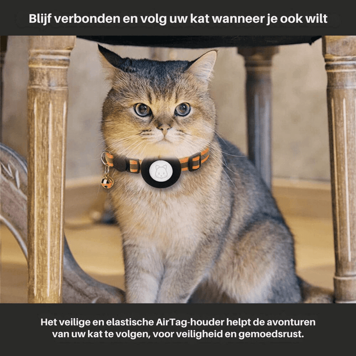 BowLift | GPS Tracker Collar for Safety & Visibility for Cats