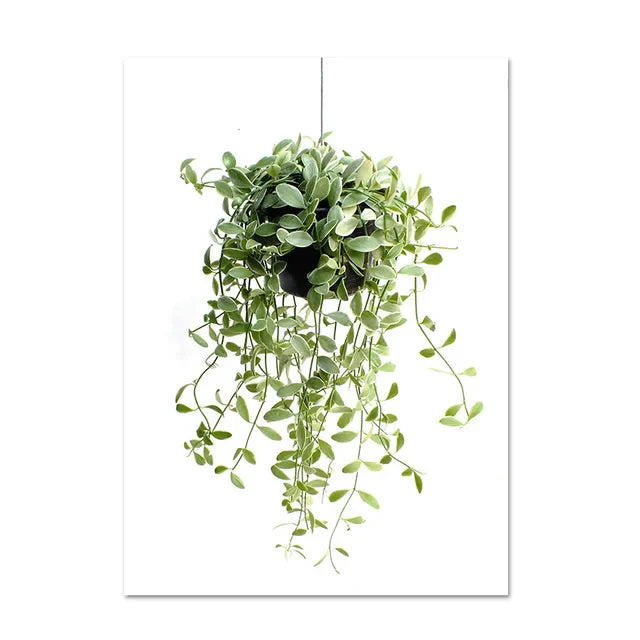 Cactus Eucalyptus Tropical Green Botany Wall Art Fine Art Canvas Prints Pictures For Living Room Kitchen Dining Room Home Decor | Bowlift